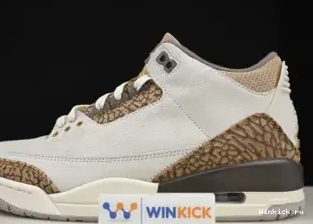 "Palomino" Jordan Air 3 0518